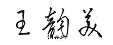 駱恆光王韻美草書個性簽名怎么寫