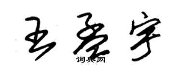 朱錫榮王孟宇草書個性簽名怎么寫