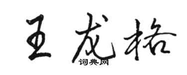 駱恆光王龍格行書個性簽名怎么寫