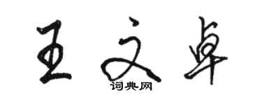 駱恆光王文卓行書個性簽名怎么寫