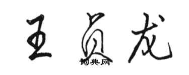 駱恆光王貞龍行書個性簽名怎么寫