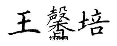 丁謙王馨培楷書個性簽名怎么寫