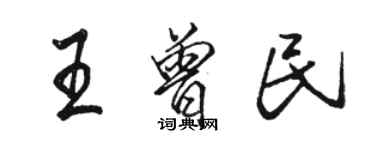 駱恆光王曾民行書個性簽名怎么寫