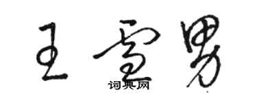 駱恆光王雪男草書個性簽名怎么寫