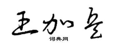 曾慶福王加兵草書個性簽名怎么寫