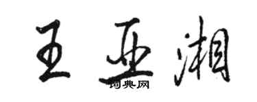 駱恆光王亞湘行書個性簽名怎么寫