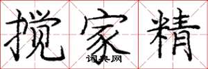 龐中華攪家精楷書怎么寫