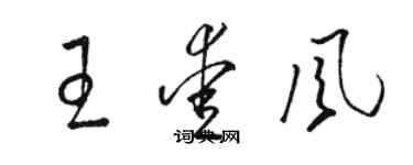 駱恆光王愛風草書個性簽名怎么寫