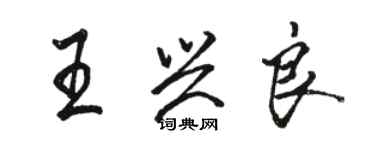 駱恆光王興良行書個性簽名怎么寫