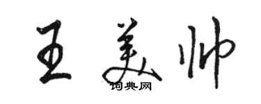 駱恆光王美帥行書個性簽名怎么寫