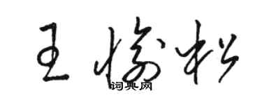 駱恆光王愉松草書個性簽名怎么寫