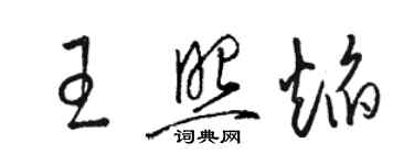 駱恆光王照焰草書個性簽名怎么寫