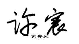 朱錫榮許宸草書個性簽名怎么寫