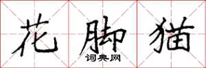 袁強花腳貓楷書怎么寫