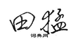 駱恆光田猛行書個性簽名怎么寫