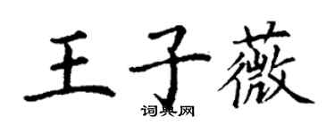 丁謙王子薇楷書個性簽名怎么寫