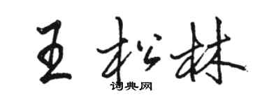 駱恆光王松林行書個性簽名怎么寫