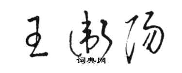 駱恆光王衛陽草書個性簽名怎么寫