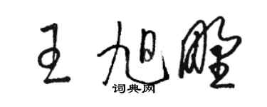 駱恆光王旭野草書個性簽名怎么寫