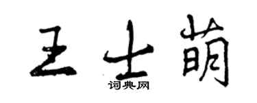 曾慶福王士萌行書個性簽名怎么寫