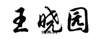 胡問遂王曉園行書個性簽名怎么寫