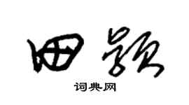 朱錫榮田穎草書個性簽名怎么寫