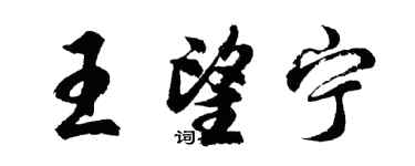 胡問遂王望寧行書個性簽名怎么寫