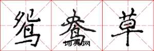 侯登峰鴛鴦草楷書怎么寫