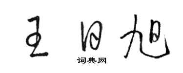 駱恆光王日旭草書個性簽名怎么寫