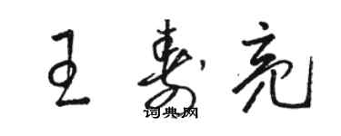 駱恆光王壽亮草書個性簽名怎么寫