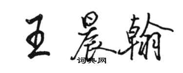 駱恆光王晨翰行書個性簽名怎么寫