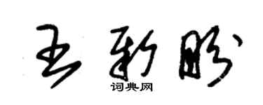 朱錫榮王新盼草書個性簽名怎么寫