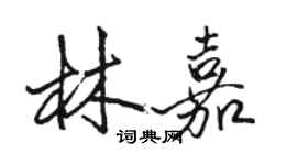 駱恆光林嘉行書個性簽名怎么寫