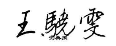 王正良王驍雯行書個性簽名怎么寫