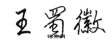 駱恆光王蜀徽行書個性簽名怎么寫