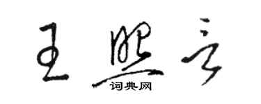 駱恆光王照言草書個性簽名怎么寫