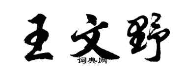 胡問遂王文野行書個性簽名怎么寫