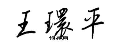 王正良王環平行書個性簽名怎么寫