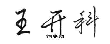 駱恆光王開科行書個性簽名怎么寫