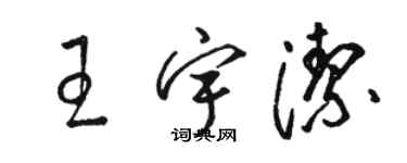 駱恆光王宇潔草書個性簽名怎么寫