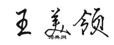 駱恆光王美領行書個性簽名怎么寫