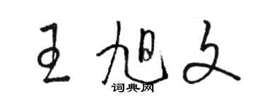 駱恆光王旭文草書個性簽名怎么寫