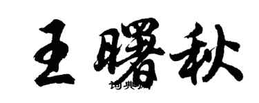 胡問遂王曙秋行書個性簽名怎么寫