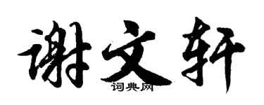 胡問遂謝文軒行書個性簽名怎么寫