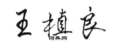 駱恆光王植良行書個性簽名怎么寫