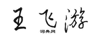 駱恆光王飛遊行書個性簽名怎么寫