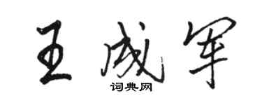 駱恆光王成軍行書個性簽名怎么寫