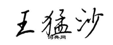 王正良王猛沙行書個性簽名怎么寫