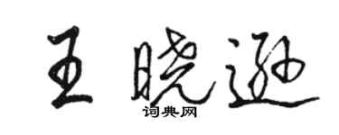 駱恆光王曉遜行書個性簽名怎么寫