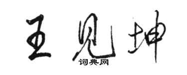 駱恆光王見坤行書個性簽名怎么寫